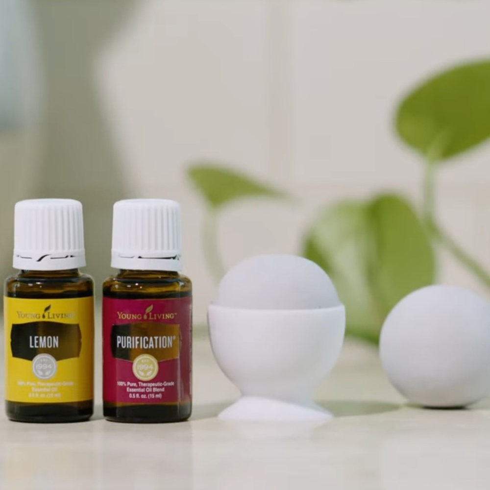 Young Living Fresh Space Collection Essential Oil Fridge Kit